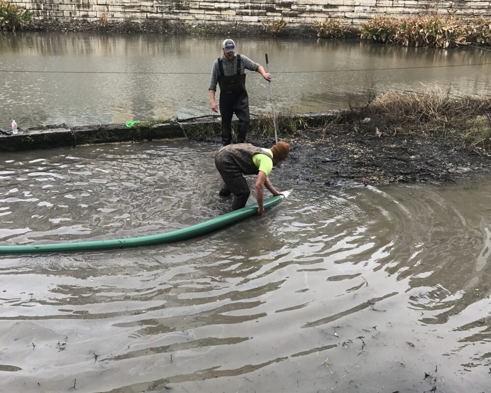 Two workers dredging a muddy urban waterway with a green hose, surrounded by a modern building and stone retaining wall.