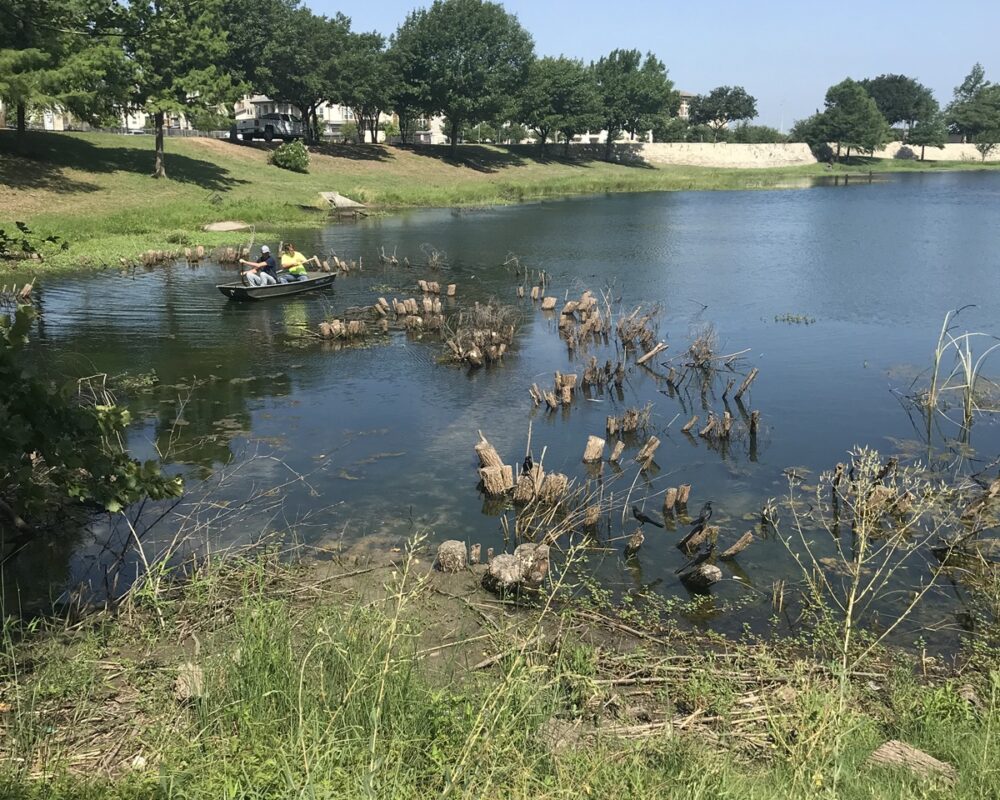 Workers are actively removing tree stumps from a forested wetland using dredging equipment. Surrounding the workers are fallen trees, stumps, and water, with greenery in the backdrop.