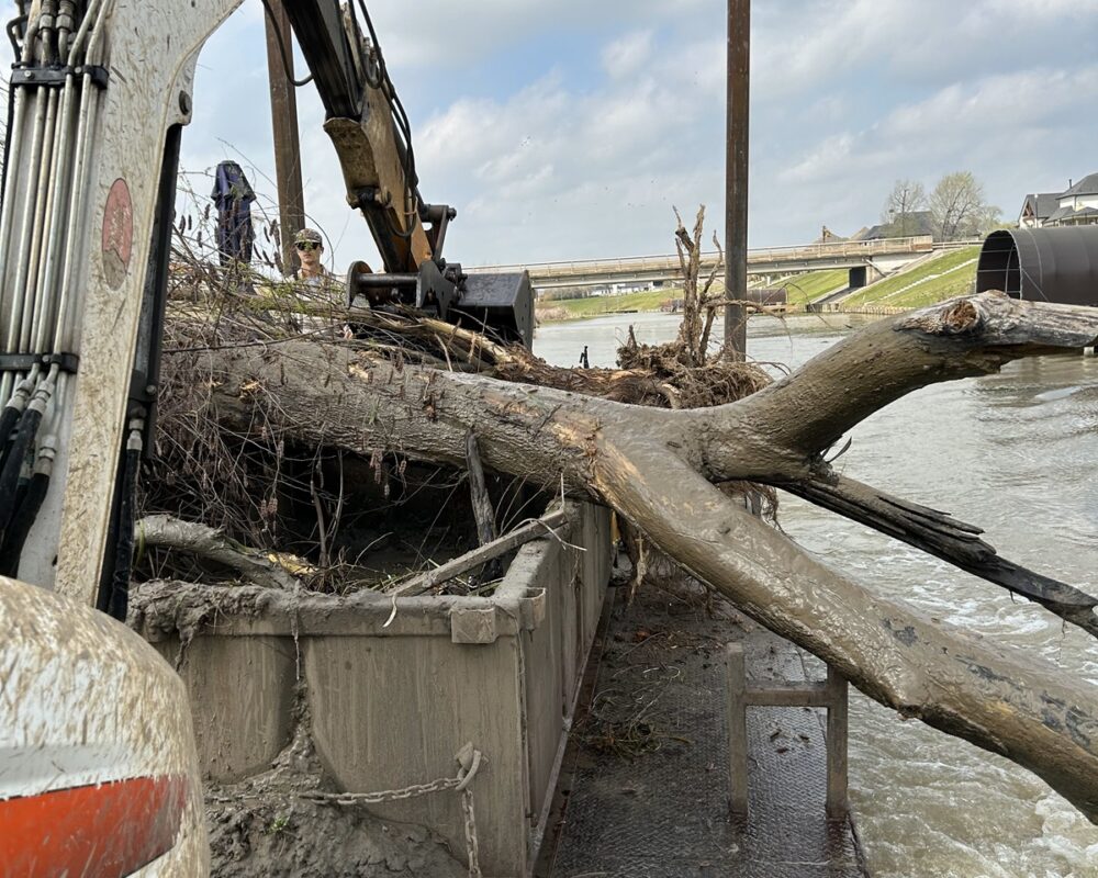A Bobcat excavator with a bucket attachment lifting a muddy tree trunk near a body of water. The trunk is being placed into a large, muddy metal container on a partially submerged platform. A bridge and buildings are visible in the background under cloudy skies.