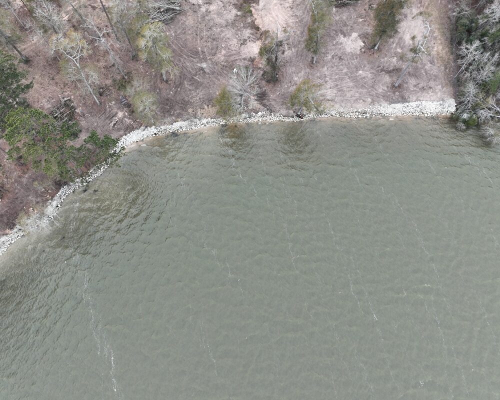 A lake shoreline reinforced with riprap rocks to prevent erosion, bordered by a dense forest with tall trees and sparse vegetation.